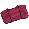 Hot Or Cold Pack - Microwaveable Or Freezable Neck And Shoulder Wrap - Moist Heat Or Cool Therapy With Natural Buckwheat Filling By Bluestone (Maroon) -OUTSUNNY Shop GUEST 15571c79 557c 413a 9c0d ad9ad4b4ea64
