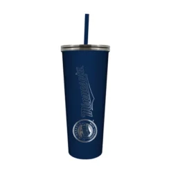MLB Minnesota Twins 24oz Skinny Tumbler With Straw
