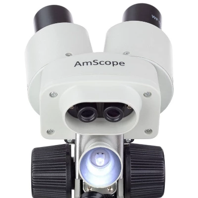 Premium Rock And Mineral Collecting Kit With Kids' 20X Portable Dual-Light Stereo Microscope - AmScope 5 Premium Rock And Mineral Collecting Kit With Kids' 20X Portable Dual-Light Stereo Microscope - AmScope - Image 3
