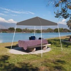 Z-Shade 10 X 10 Foot Angled Leg Instant Shade Outdoor Canopy Tent Portable Gazebo Shelter For Camping Or Backyard Grilling, Grey