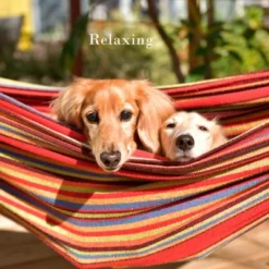 Hastings Home Double Hammock And Stand -OUTSUNNY Shop GUEST 8af6694e b4b2 4f57 91bc 6d356e022bd9