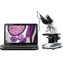 40X To 2500X Binocular Compound Microscope With Digital Camera And Interactive Software - AmScope 17 40X To 2500X Binocular Compound Microscope With Digital Camera And Interactive Software - AmScope -OUTSUNNY Shop GUEST bedec9d9 08af 41b6 b4ef 891315727fe5